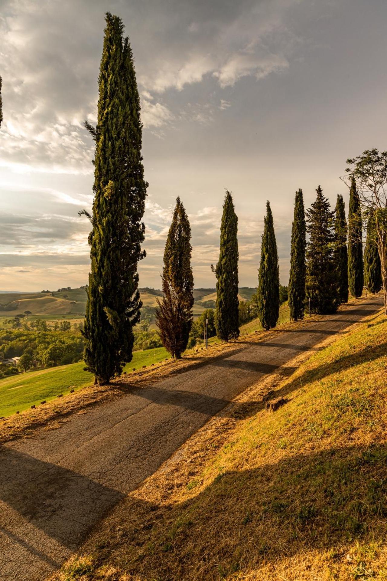 Agriturismo Percenna Buonconvento Exterior foto