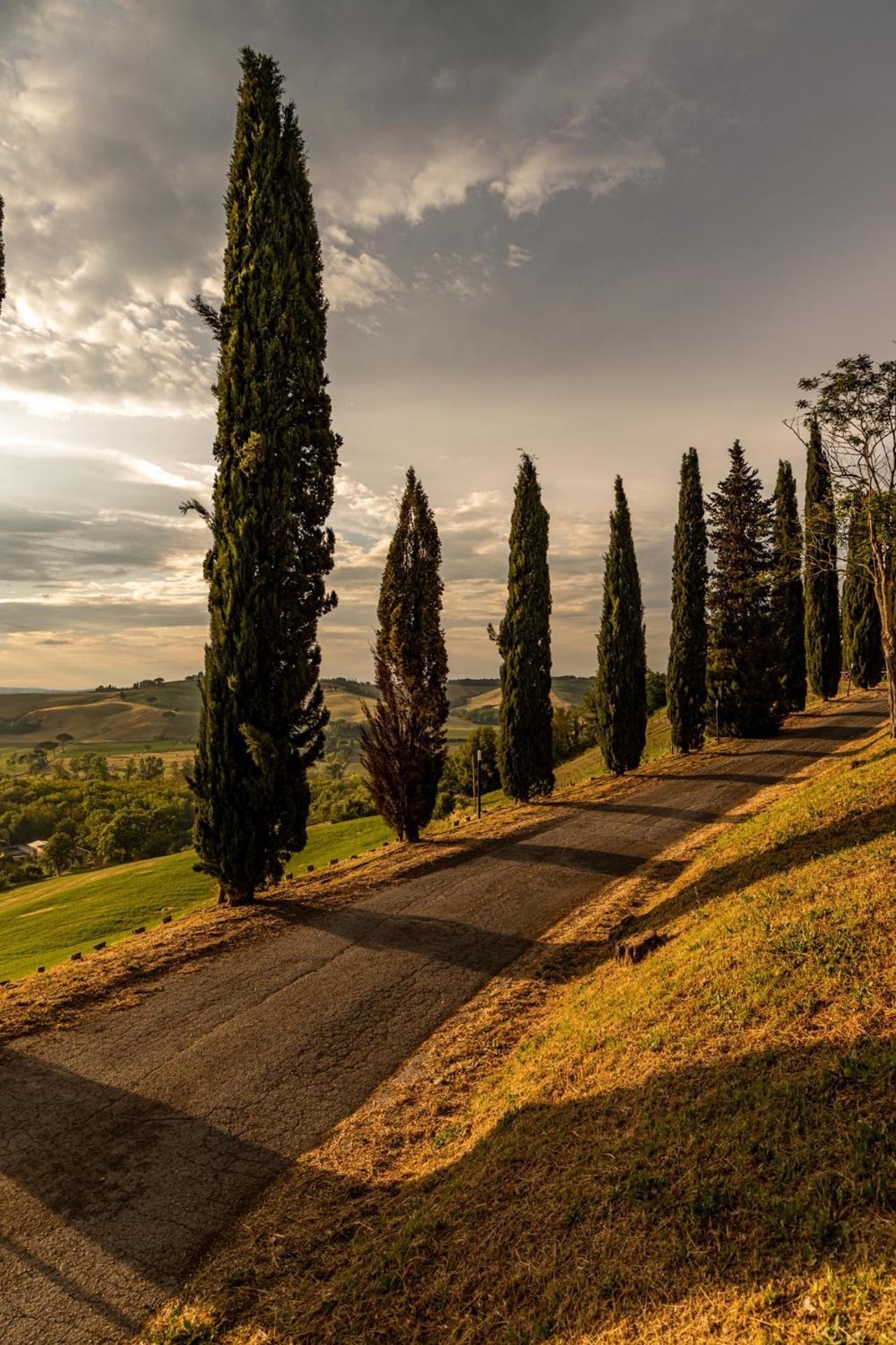 Agriturismo Percenna Buonconvento Exterior foto